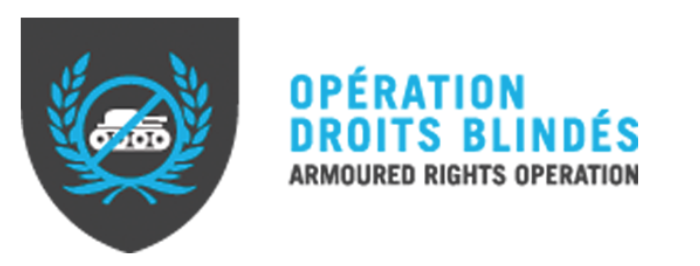 Association québécoise de droit constitutionnel